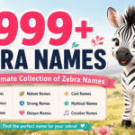 Zebra names