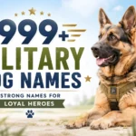 Military dog names