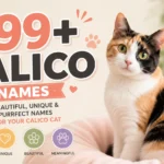 calico names