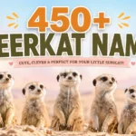 Meerkat Names