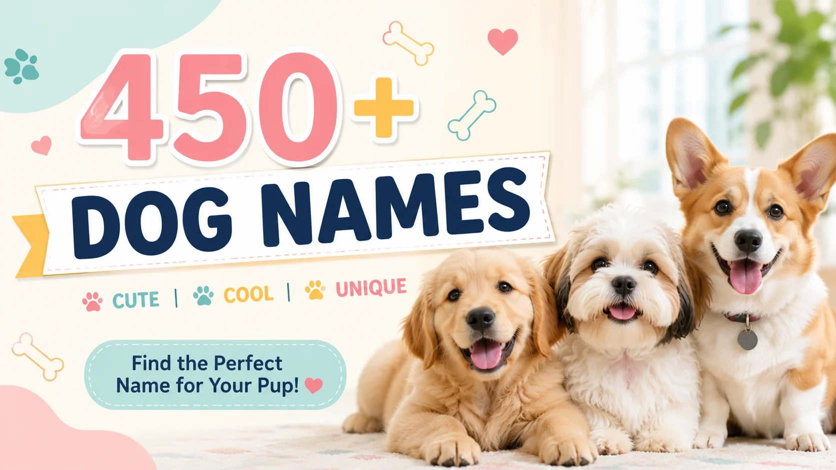Show Dog Names