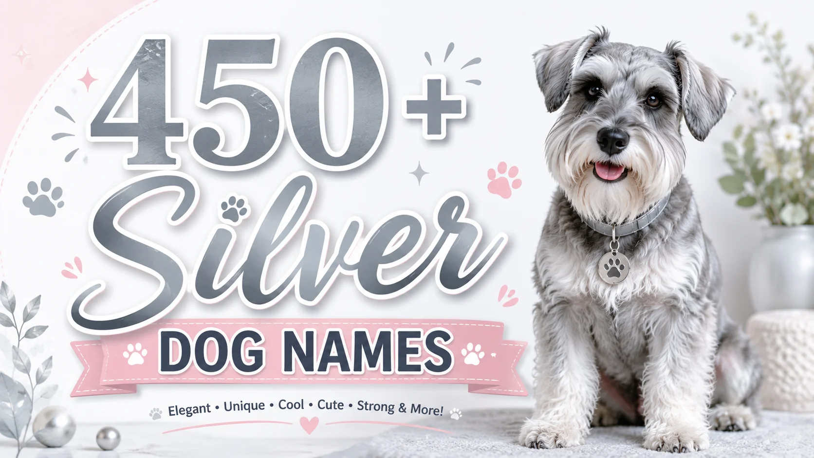 Silver Dog Names