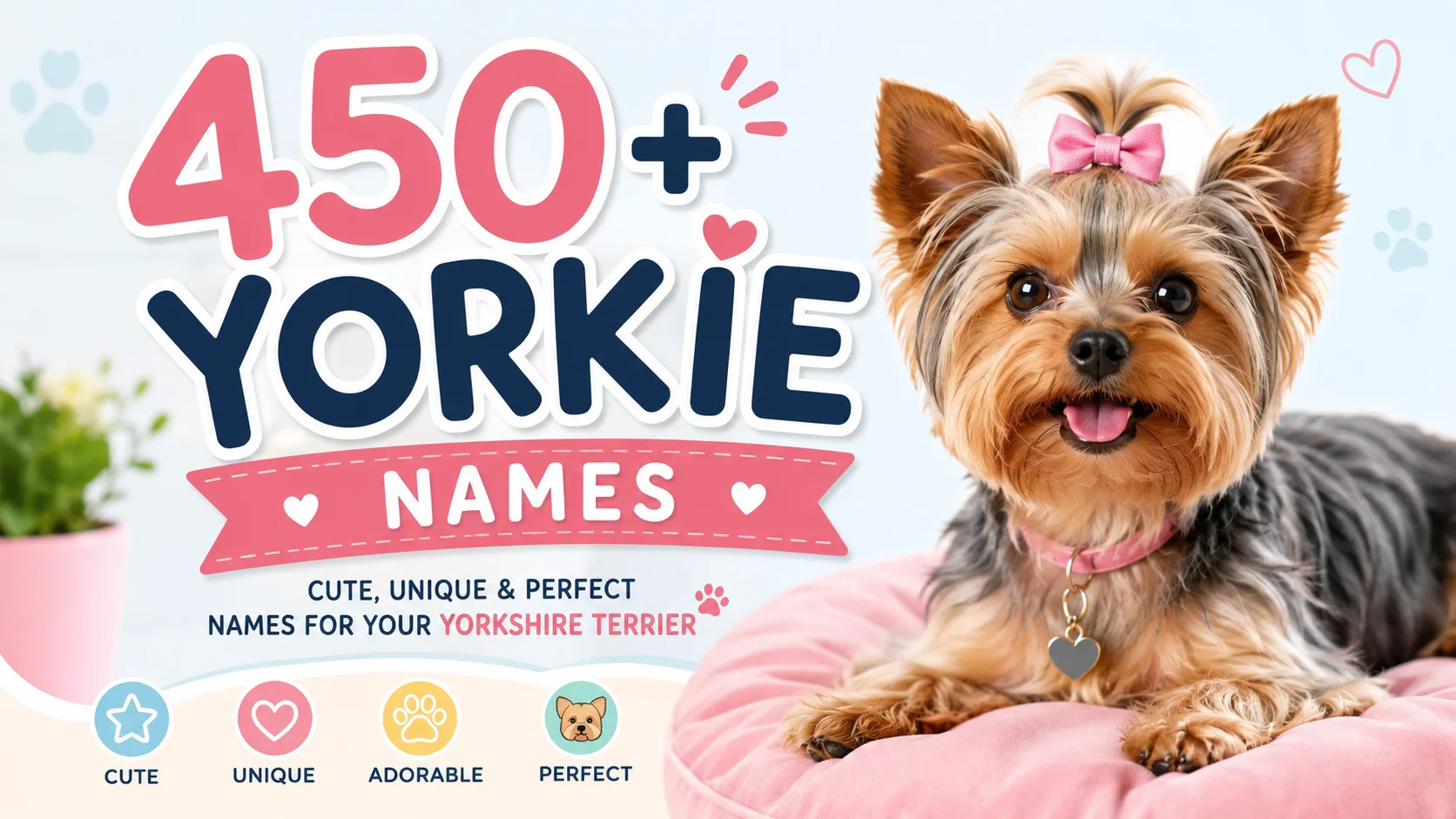 yorkie dog names